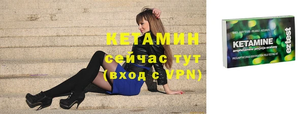 прущие грибы Богданович
