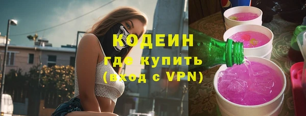 прущие грибы Богданович