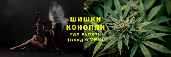 прущие грибы Богданович