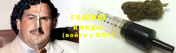 прущие грибы Богданович