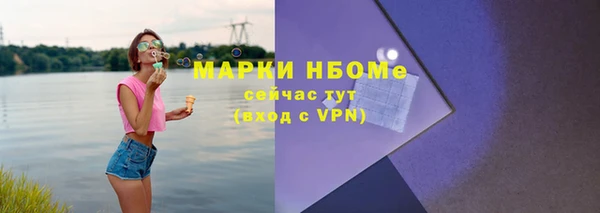 прущие грибы Богданович