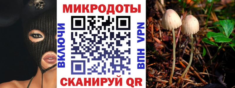 darknet телеграм  Валдай  Псилоцибиновые грибы Cubensis 
